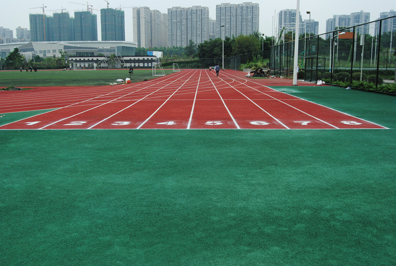 德维建筑 工程展示 体育场馆建设